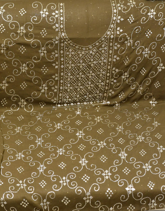 Pakistani Ginger Chiffon – Dupatta & Gala Embroidery | Barfi & Dana Work