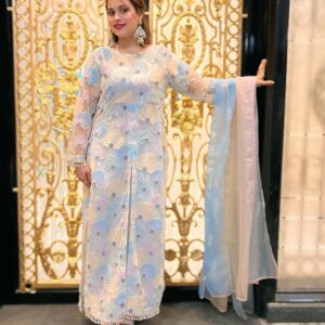 Exquisite Embroidered Net Wedding Dress ‚ A Vision in Elegance